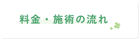 料金・施術の流れ